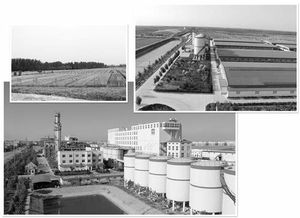 中裕公司 拉长产业链靠 接二连三